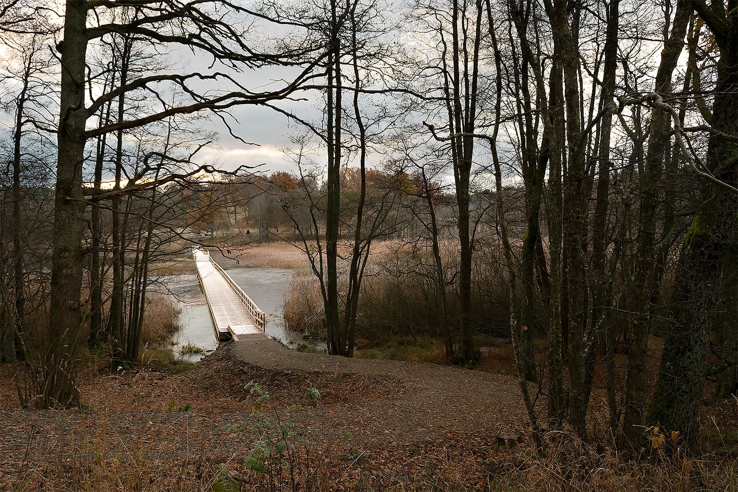 Foto på träbro i Bjrörksättrahalvöns naturreservat