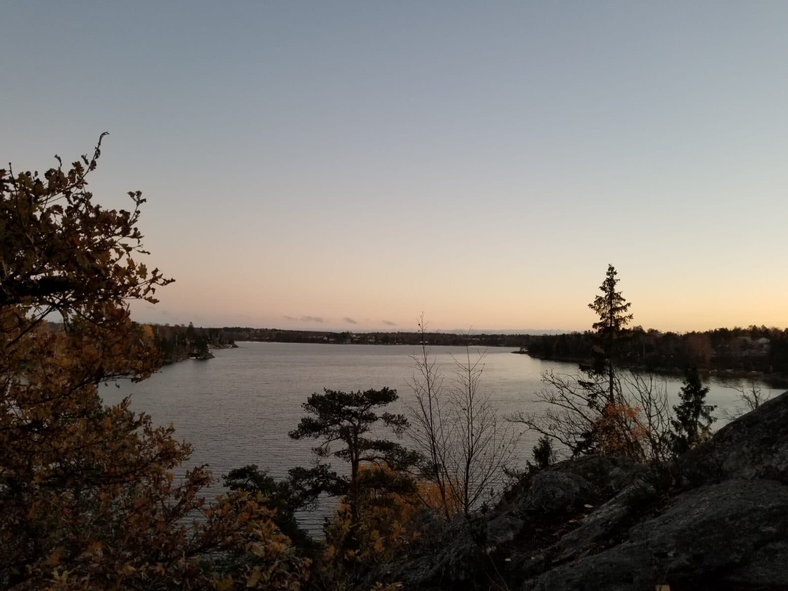 Drevviken