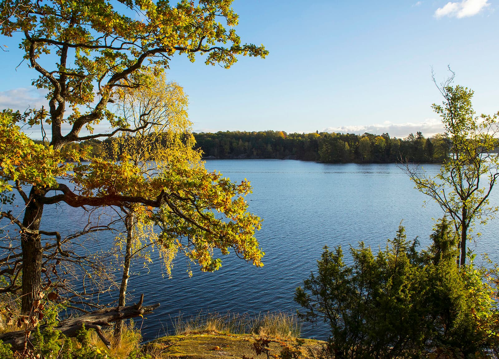 Foto Orlången
